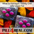 What Is Kamagra 100Mg Oral Jelly Used For 01